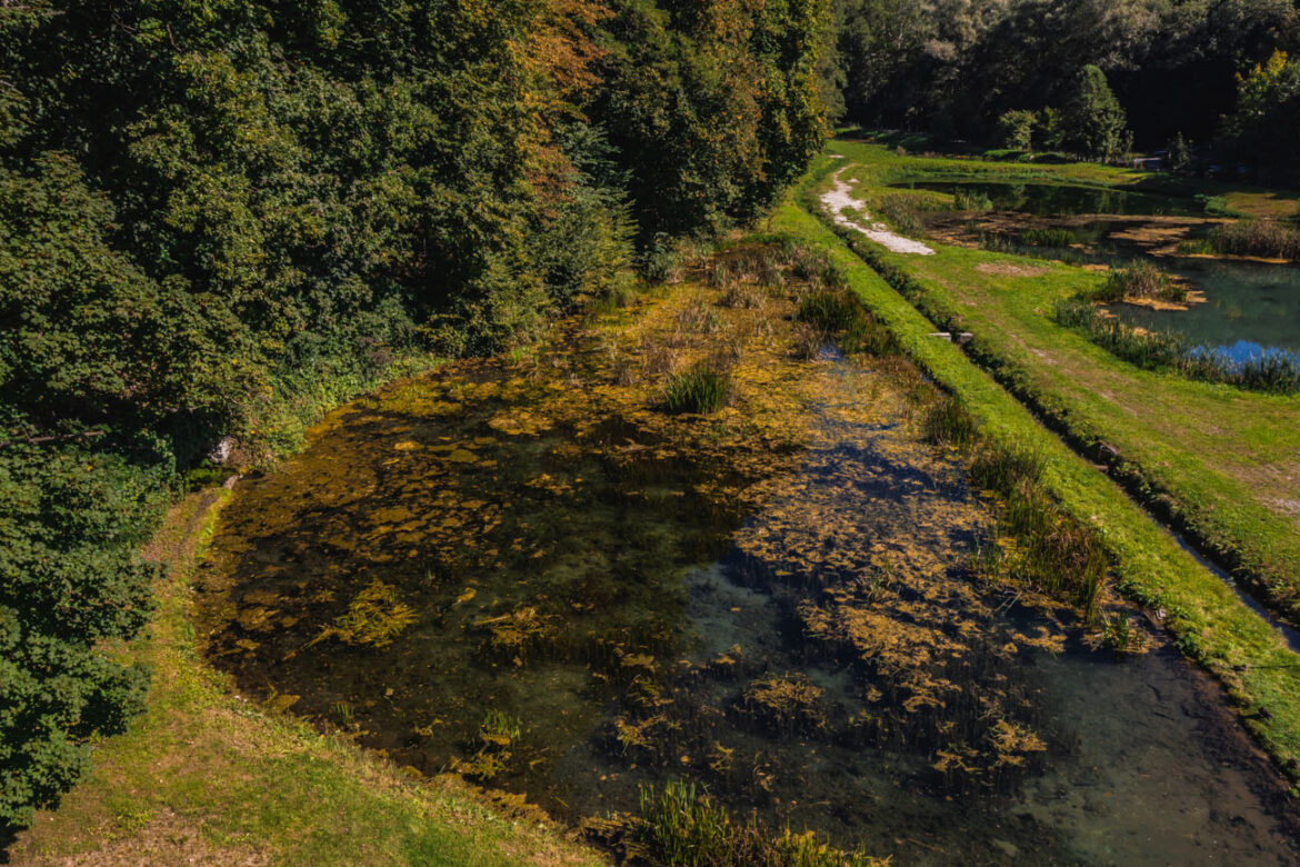 Wody źródlane Pstrągarni Rózin